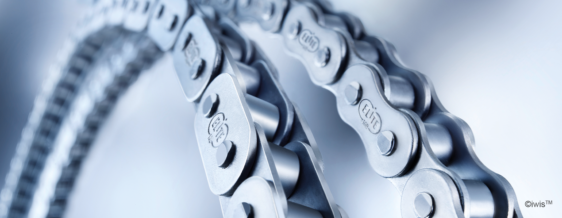 Precision iwis roller chains